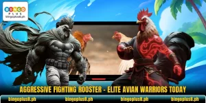 Aggressive Fighting Rooster - Elite Avian Warriors Today