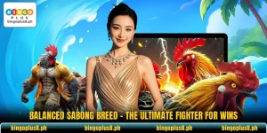 Balanced Sabong Breed - The Ultimate Fighter For Wins