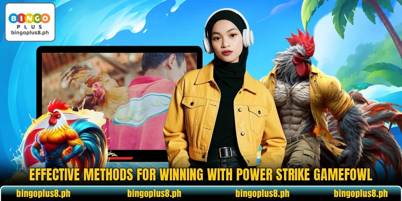 Effective methods for winning with Power Strike gamefowl