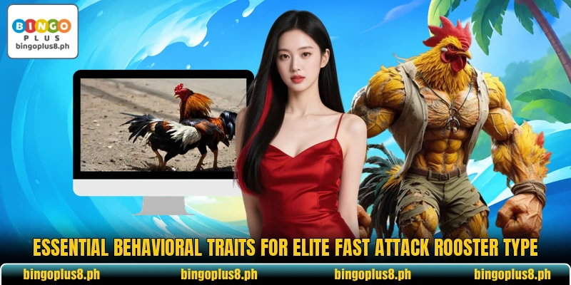 Essential behavioral traits for elite fast attack rooster type