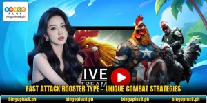 Fast Attack Rooster Type - Unique Combat Strategies