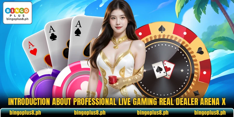 Introduction about professional live gaming real dealer Arena X
