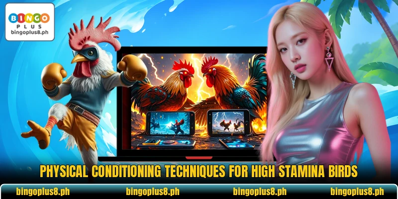Physical conditioning techniques for high stamina birds