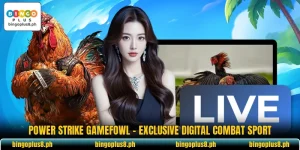Power Strike Gamefowl - Exclusive Digital Combat Sport